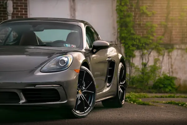 Kasyno Spin Pug Aplikacja Android/iOS